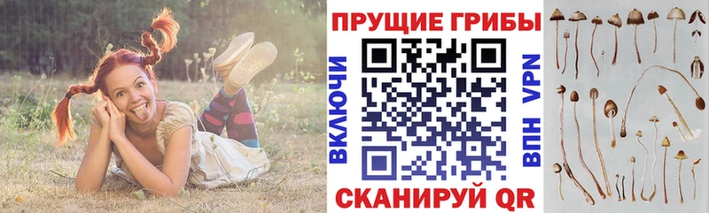 Псилоцибиновые грибы мицелий  купить наркотик  Красноуфимск 